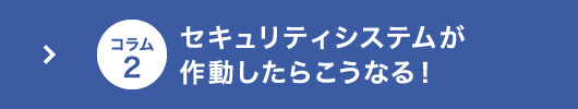 セキュリティシステムが作動したらこうなる！