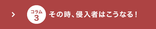 その時、侵入者はこうなる！